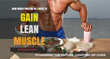 Optimal Protein Intake for Building Lean Muscle: A Comprehensive Guide