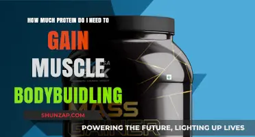 Optimal Protein Intake for Muscle Gain in Bodybuilding: A Guide