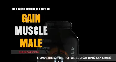 Optimal Protein Intake for Muscle Gain in Men: A Guide