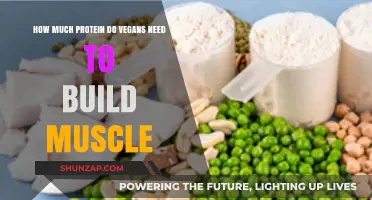 Plant-Powered Muscle Building: The Vegan's Guide to Protein Intake