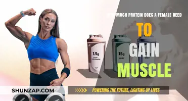 Protein Needs for Women: Building Muscle Effectively and Healthily