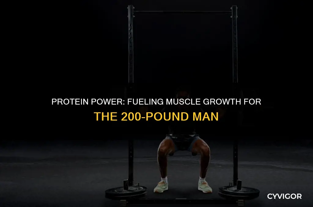 how much protein for 200 lb man to build muscle