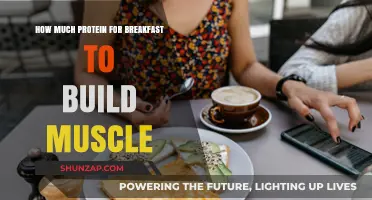Fuel Your Gains: The Optimal Protein Intake for Muscle-Building Breakfasts