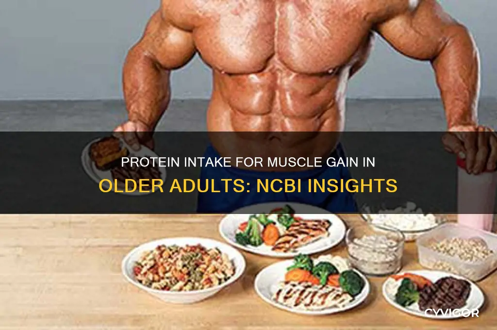 how much protein for muscle gain older people ncbi