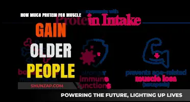 Protein Intake for Muscle Gain in Older Adults: A Guide
