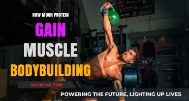 Optimal Protein Intake for Muscle Gain in Bodybuilding: A Comprehensive Guide
