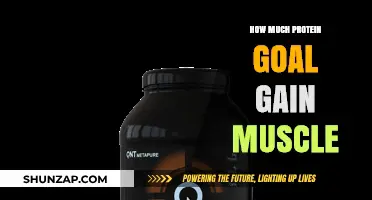 Optimal Protein Intake for Muscle Gain: A Comprehensive Guide
