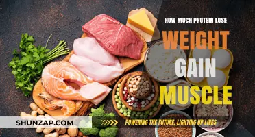 Protein Power: Optimize Intake to Lose Weight and Build Muscle