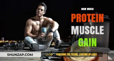 Maximize Muscle Growth: Optimal Protein Intake for Strength Gains