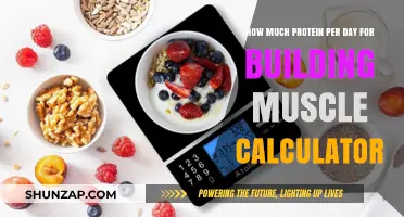 Protein Power: Calculate Your Daily Needs for Muscle Building