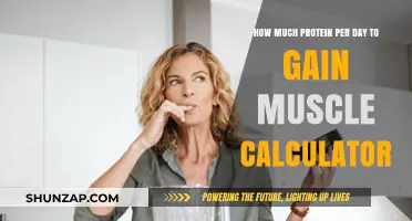 Calculate Daily Protein Intake for Optimal Muscle Gain