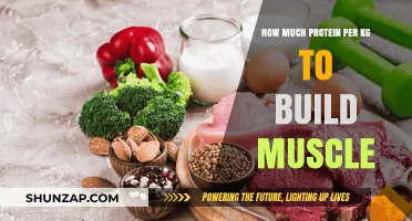 Optimal Protein Intake for Muscle Building: A Comprehensive Guide