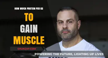 Optimal Protein Intake: How Much Per KG to Build Muscle Effectively