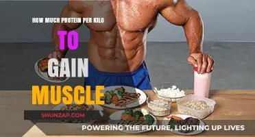 Optimal Protein Intake: How Much Per Kilo to Build Muscle Effectively