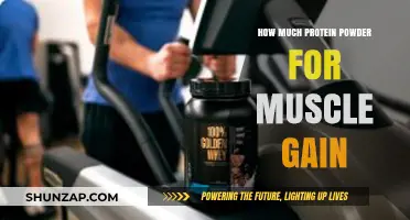 Optimal Protein Powder Dosage for Effective Muscle Gain Strategies