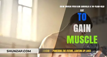 Optimal Protein Intake for 14-Year-Olds to Build Muscle Safely