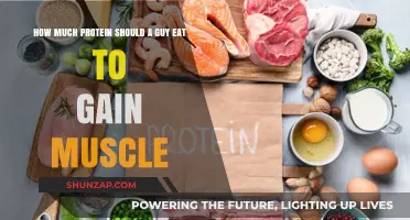 Optimal Protein Intake for Men: Building Muscle Mass Effectively