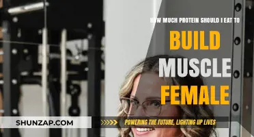 Protein Power: The Ultimate Guide for Women Building Muscle