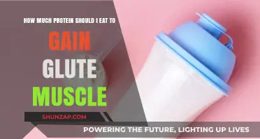 Optimal Protein Intake for Building Stronger, Bigger Glute Muscles