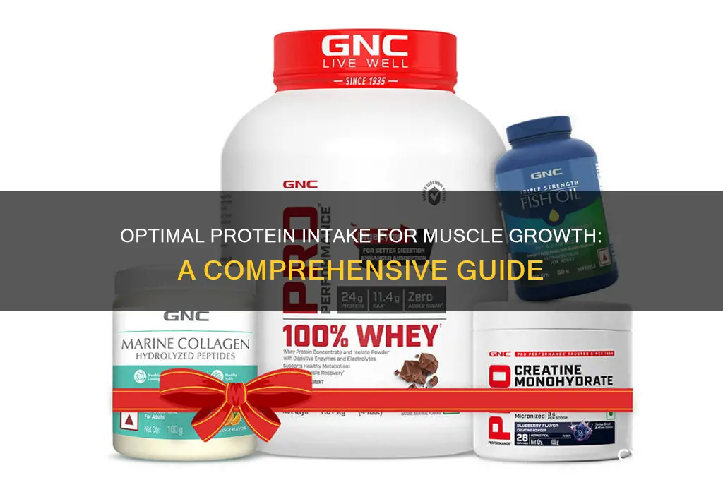 how much protein should i eat to gain muscle mass