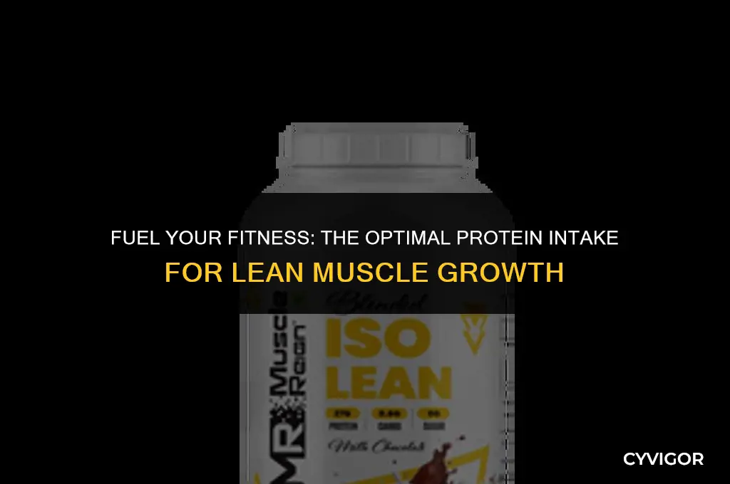 how much protein to build lean muscle