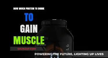 Optimal Protein Intake for Muscle Gain: A Comprehensive Guide
