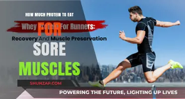 Optimal Protein Intake for Muscle Recovery and Sore Muscles Relief