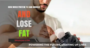 Optimal Protein Intake for Muscle Gain and Fat Loss