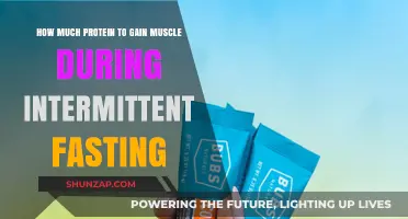 Maximize Muscle Growth: Protein Intake Tips for Intermittent Fasting