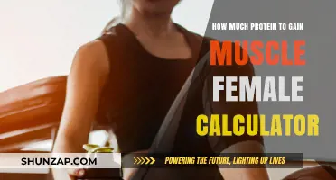 Calculate Your Female Muscle Gain Protein Needs Easily