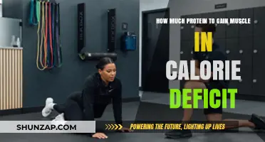 Building Muscle in a Deficit: Optimal Protein Intake Explained