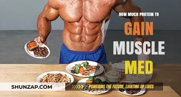 Optimal Protein Intake for Muscle Gain: A Comprehensive Medical Guide