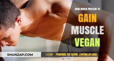 Vegan Muscle Building: Optimal Protein Intake for Plant-Based Gains