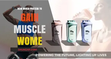 Optimal Protein Intake for Women to Build Muscle Effectively