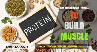 Optimal Protein Intake for Muscle Building: A Comprehensive Guide