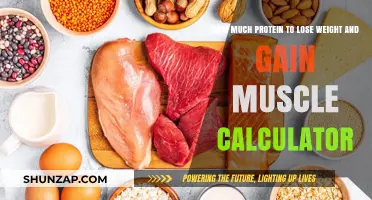 Calculate Your Protein Intake for Weight Loss and Muscle Gain