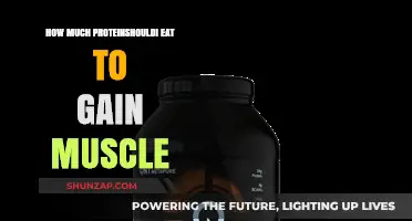 Optimal Protein Intake for Muscle Gain: A Comprehensive Guide