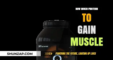 Optimal Protein Intake for Effective Muscle Gain: A Comprehensive Guide