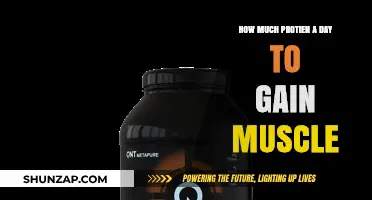 Optimal Daily Protein Intake for Effective Muscle Gain Strategies