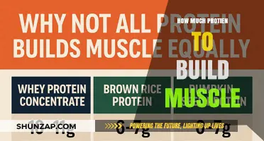 Fueling Your Gains: The Optimal Protein Intake for Muscle Building