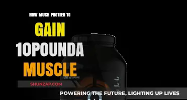 Optimal Protein Intake for Gaining 10 Pounds of Muscle Mass