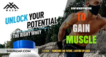 Optimal Protein Intake for Effective Muscle Gain and Growth