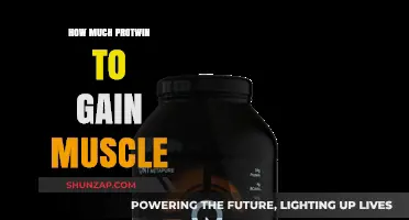 Optimal Protein Intake for Effective Muscle Gain: A Comprehensive Guide