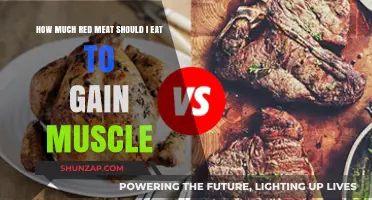 Optimal Red Meat Intake for Muscle Gain: A Balanced Approach