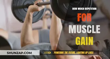 Repetition for Muscle Gain: Optimal Rep Ranges Explained
