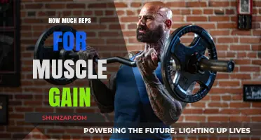 Optimal Rep Ranges for Muscle Growth: Maximizing Your Workouts