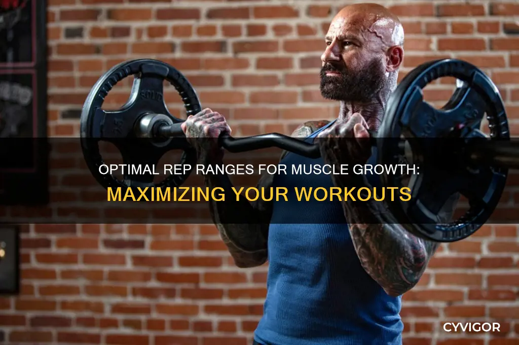 how much reps for muscle gain