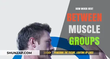 Optimal Rest Between Muscle Groups: Maximizing Recovery for Better Gains