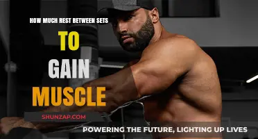 Optimal Rest Between Sets: Maximizing Muscle Growth in Your Workouts