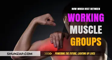 Optimal Rest for Muscle Recovery: Timing Your Workouts Right